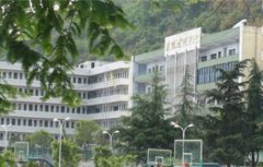 金平县职业高级中学2023年（中专）招生简章