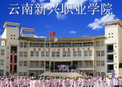 云南新兴职业学院2023年招生对象与计划