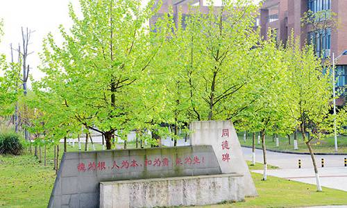 重庆机电职业技术学院地址在哪里 重庆机电职业技术学院地址在哪里