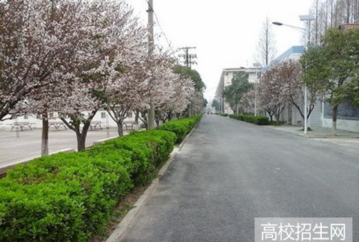 宿州职业技术学院图片