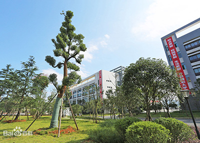 校园风景.jpg 校园风景.jpg