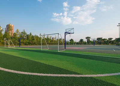 篮球场.jpg 篮球场.jpg