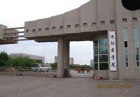 沈阳医学院2020年有哪些专业