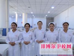 成都2024年公办卫校有哪些