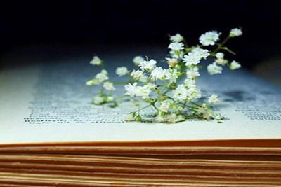 成都市洞子口职业高级中学2020年春季招生计划_录取规则_录取分数