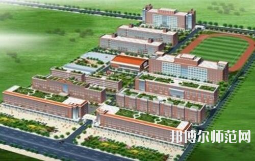 师范网3