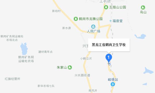 黑龙江省鹤岗卫生学校地址在哪里
