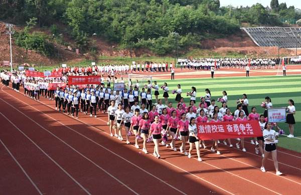 四川护理职业学院网站网址