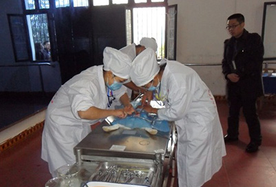 宜宾县柳嘉职业技术学校老师演示兔子的保定方法