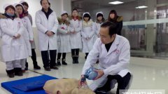 四川省临床医学专业好的本科学校排名