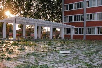 成都建筑学校建筑工程专业培养人才的优势