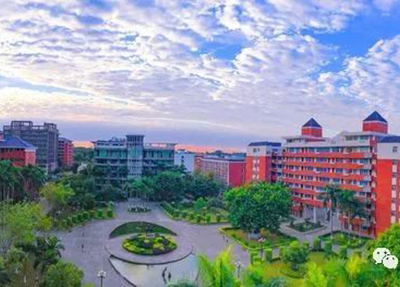 公办学校