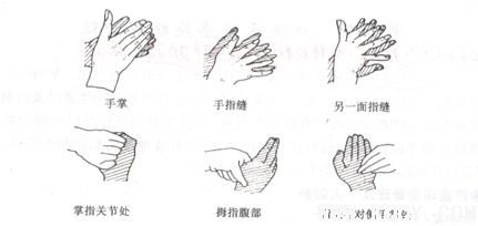 口腔修复技能考试洗手六步法
