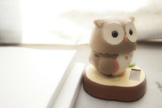 成都幼师师范学校报名条件?